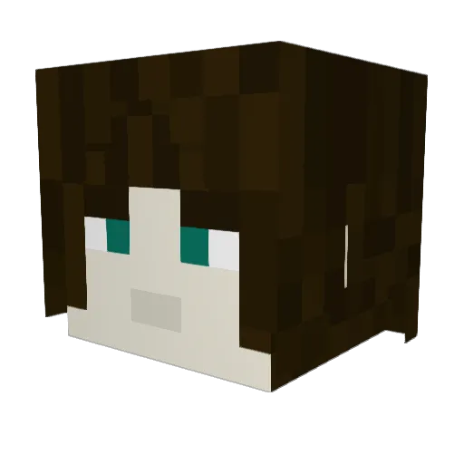 Cats_Paw89 Minecraft avatar head, 3D render