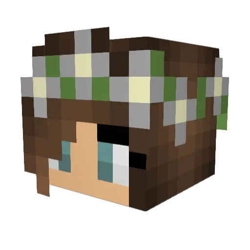 CatsandDogs90 Minecraft avatar head, 3D render
