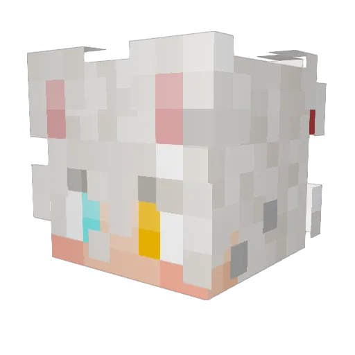 Catsareboss22 Minecraft avatar head, 3D render