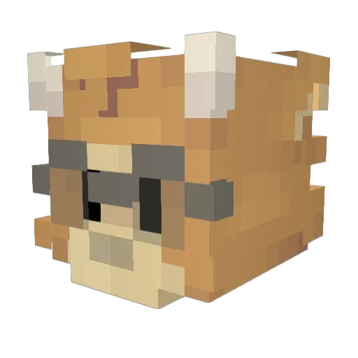 Catsarecool392 Minecraft avatar head, 3D render