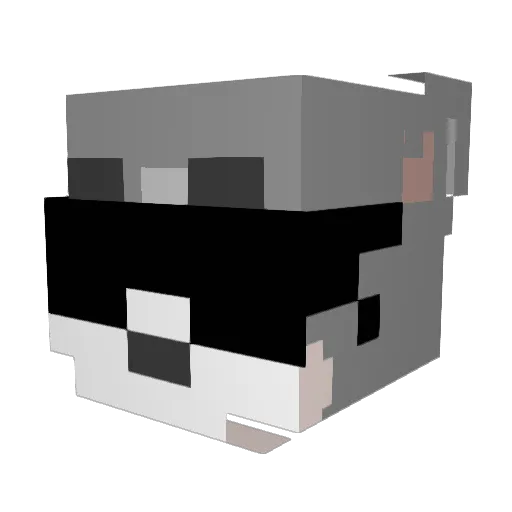 Catsasin Minecraft avatar head, 3D render