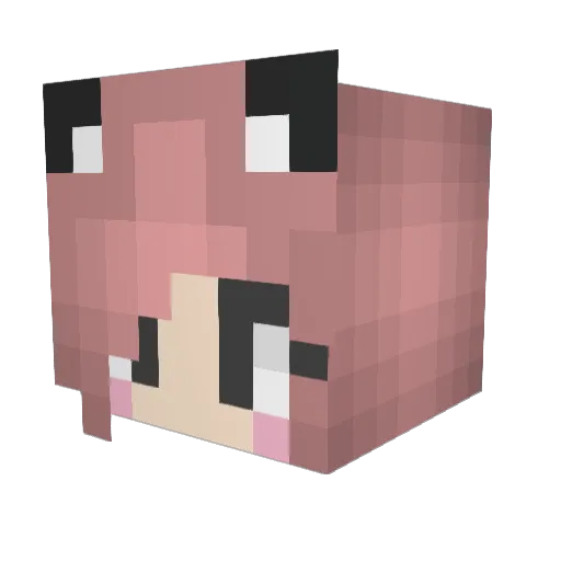 CatseTheCat Minecraft avatar head, 3D render
