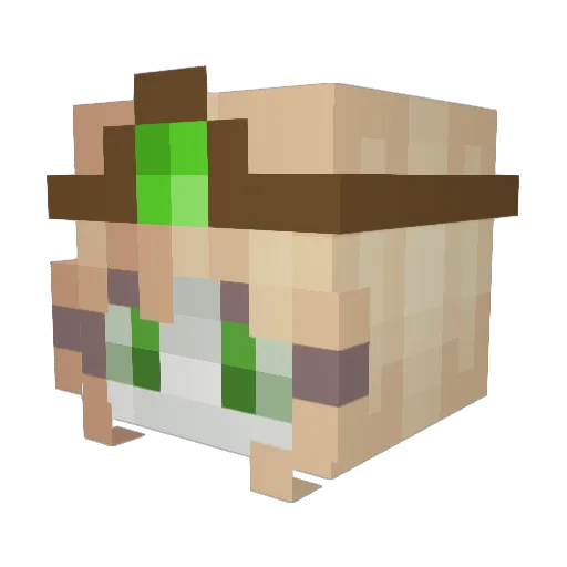 Catshadows9 Minecraft avatar head, 3D render
