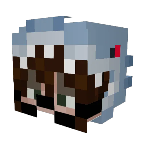 Catslikefish21 Minecraft avatar head, 3D render