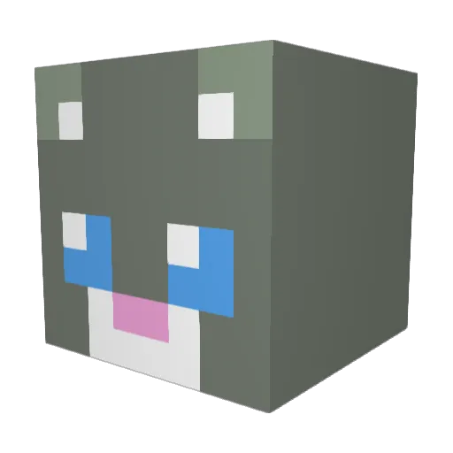 Catso2003 Minecraft avatar head, 3D render