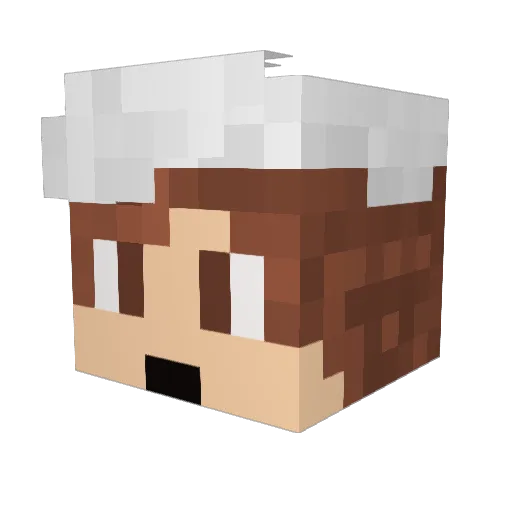 CatsoPouer Minecraft avatar head, 3D render
