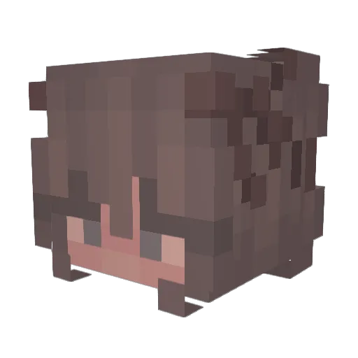 Catster101 Minecraft avatar head, 3D render