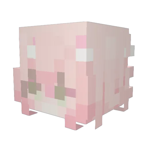 Catsumie Minecraft avatar head, 3D render