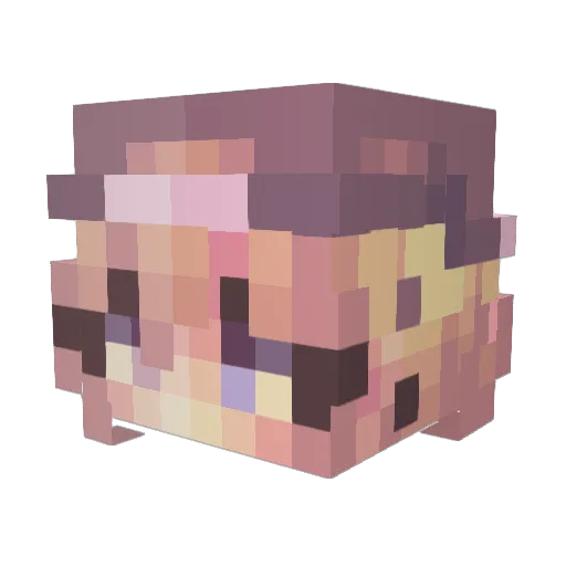Catt452 Minecraft avatar head, 3D render