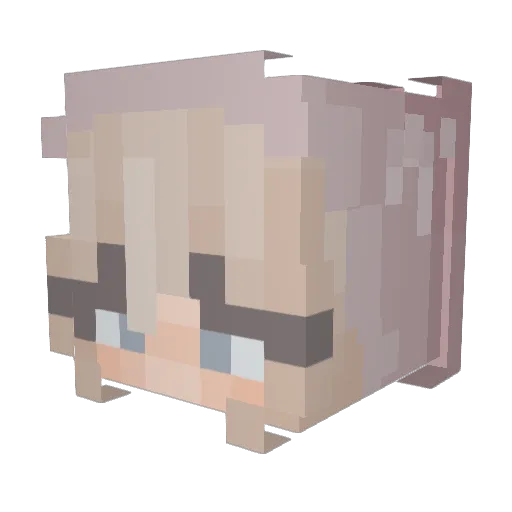 Catt908 Minecraft avatar head, 3D render