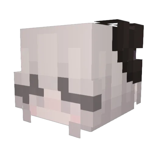 Catt_ion Minecraft avatar head, 3D render