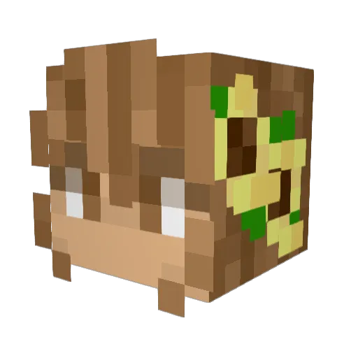 Cattachlo Minecraft avatar head, 3D render