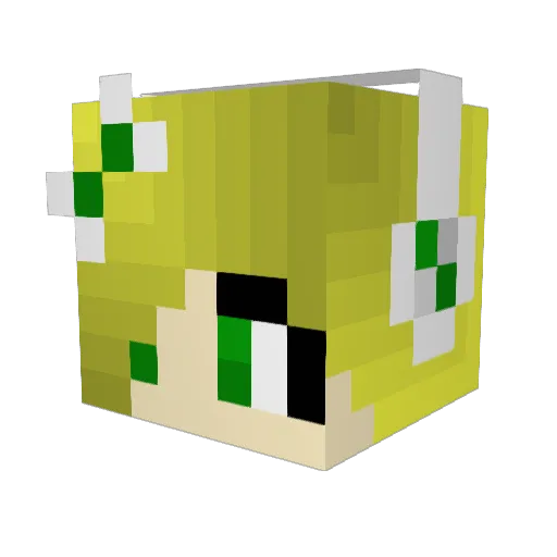 Cattail11 Minecraft avatar head, 3D render