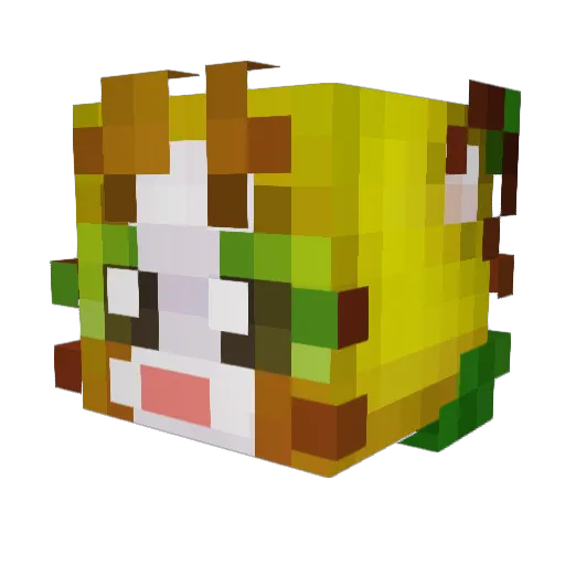 CatteHasBeenHere Minecraft avatar head, 3D render