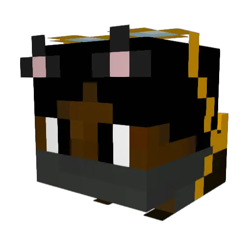 CattenXP Minecraft avatar head, 3D render