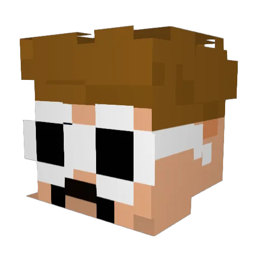 CattierFir5367 Minecraft avatar head, 3D render