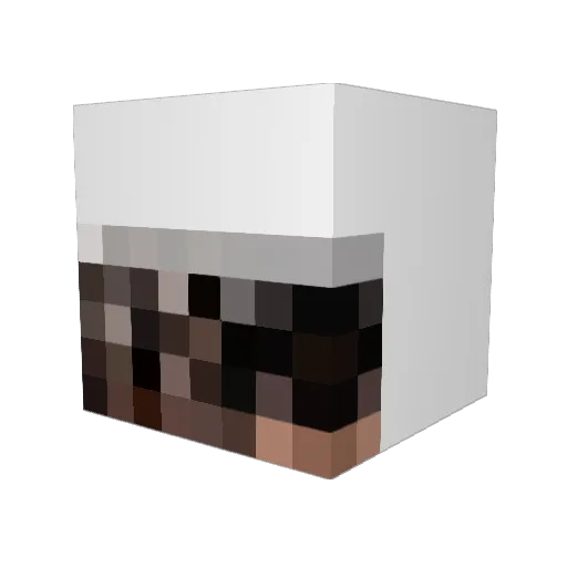 Cattish_ Minecraft avatar head, 3D render
