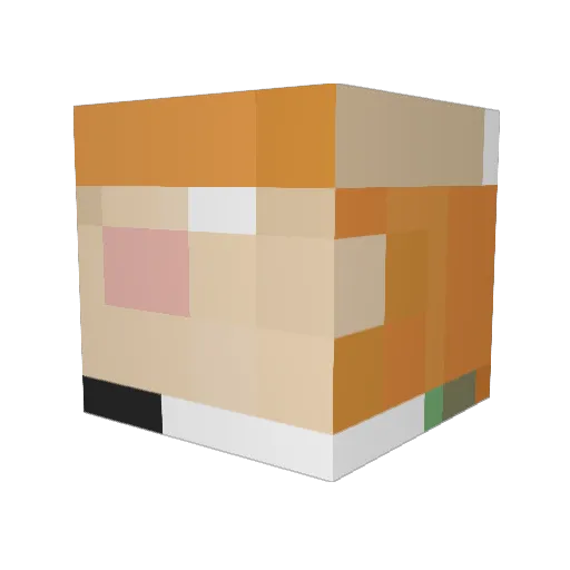CattoTheKittyCat Minecraft avatar head, 3D render