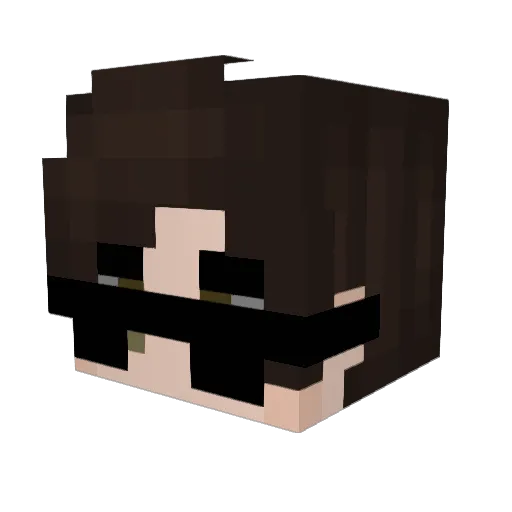 Catty6 Minecraft avatar head, 3D render