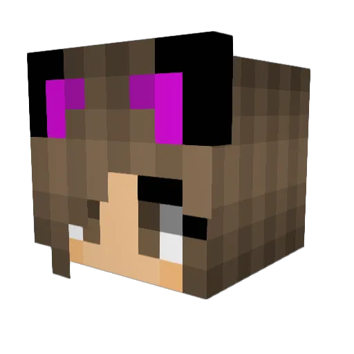 CattyCattitude Minecraft avatar head, 3D render