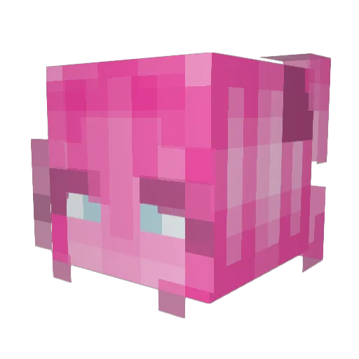 CattySlimeGirl Minecraft avatar head, 3D render