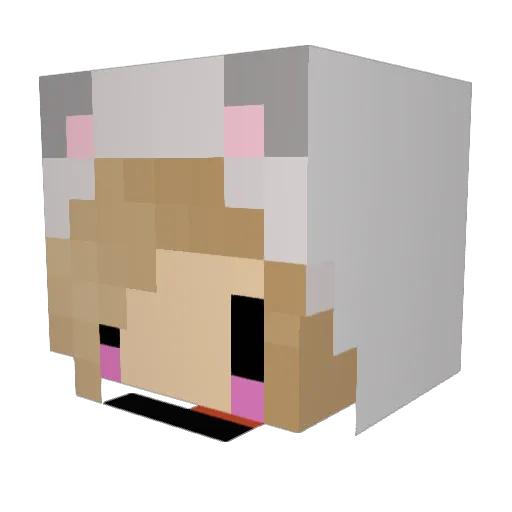Cattykitcat Minecraft avatar head, 3D render
