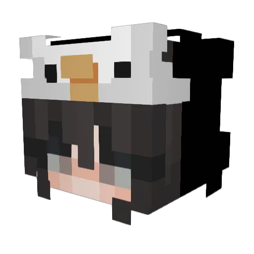Catuuu Minecraft avatar head, 3D render