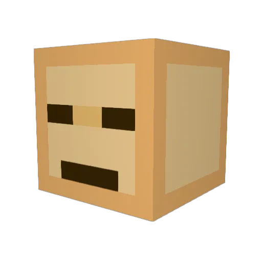 Catweazle0209 Minecraft avatar head, 3D render