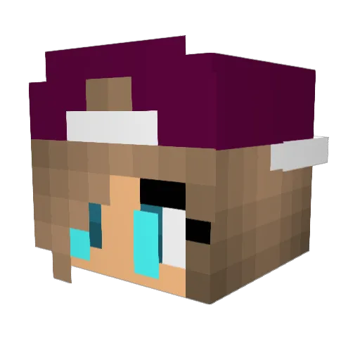 CatxSw Minecraft avatar head, 3D render
