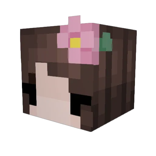 Catxstrxphe Minecraft avatar head, 3D render