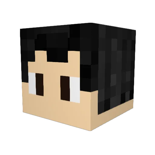 CatyBro100 Minecraft avatar head, 3D render