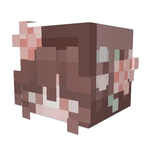 Catydid5000 Minecraft avatar head, 3D render