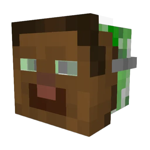 Catyrpelius Minecraft avatar head, 3D render