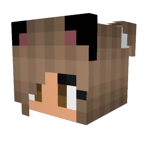 Catyseyer Minecraft avatar head, 3D render