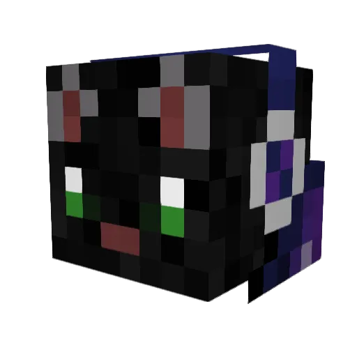 Catz275 Minecraft avatar head, 3D render