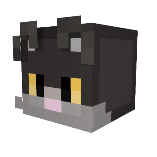 CatzNG Minecraft avatar head, 3D render