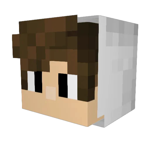 Catzilla007 Minecraft avatar head, 3D render