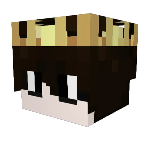 Caua_niko Minecraft avatar head, 3D render
