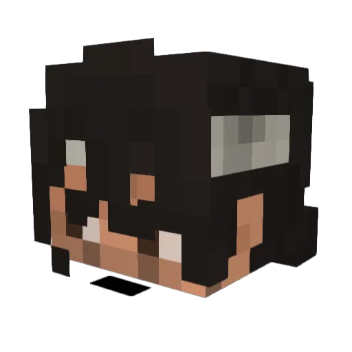 Cauansm Minecraft avatar head, 3D render