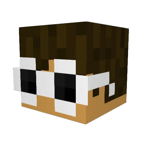 CaughtBlock69 Minecraft avatar head, 3D render