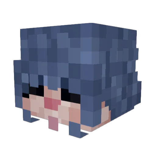 Caukoo Minecraft avatar head, 3D render