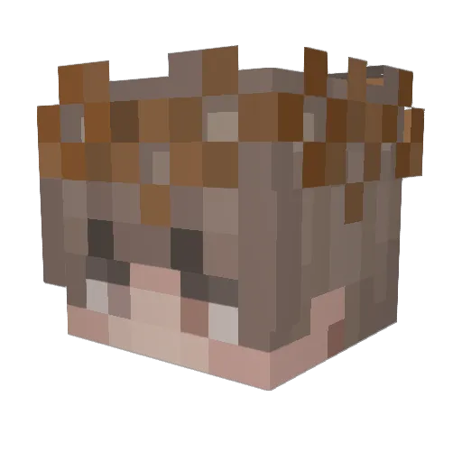 Cauldra_Decaf Minecraft avatar head, 3D render