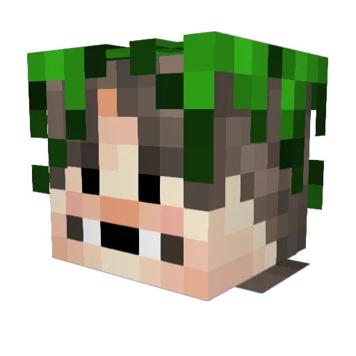 Caunnor Minecraft avatar head, 3D render