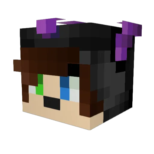 CauseDraven Minecraft avatar head, 3D render