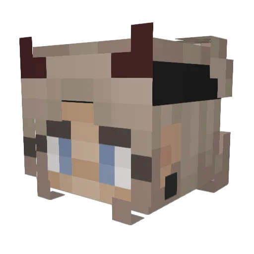 CauseRegan Minecraft avatar head, 3D render
