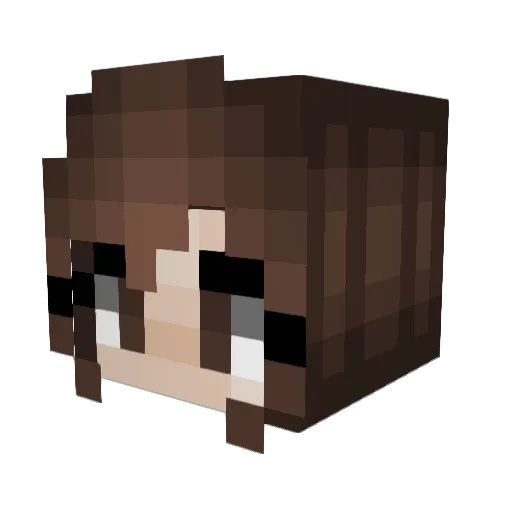 Causedandcreated Minecraft avatar head, 3D render