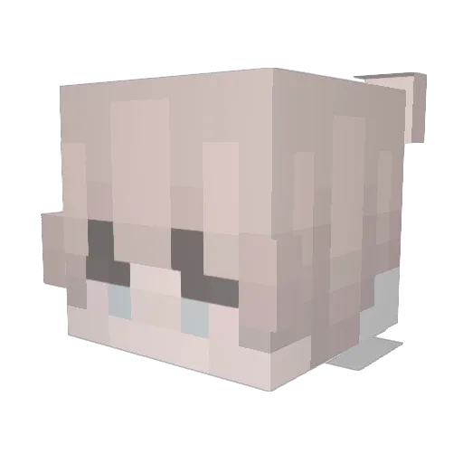 CausticAcorn Minecraft avatar head, 3D render