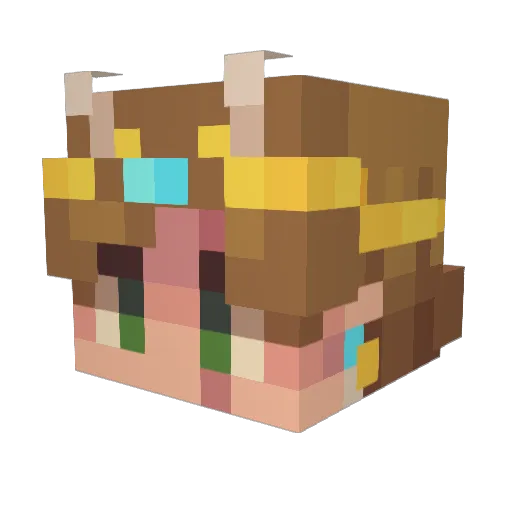 CausticSatsuma Minecraft avatar head, 3D render