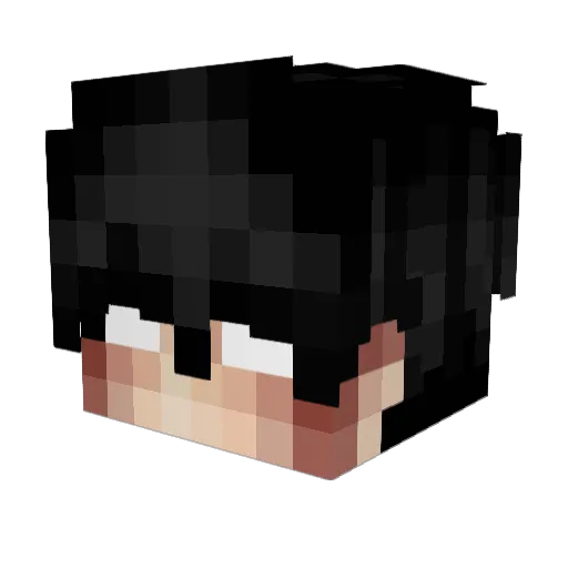 Causy Minecraft avatar head, 3D render