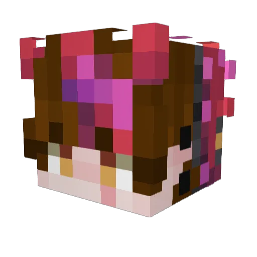 Cautan Minecraft avatar head, 3D render
